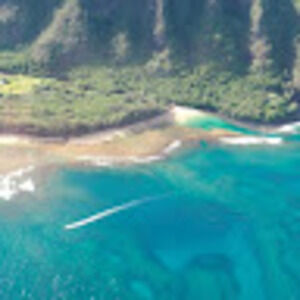 Meet your Posher, Tia